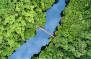 酷暑时节觅清凉 走进避暑胜地醉山野缩略图